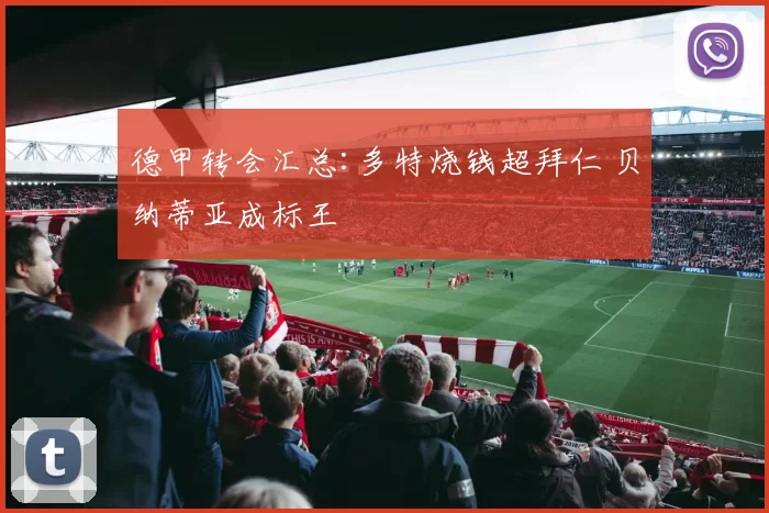 德甲转会汇总:多特烧钱超拜仁 贝纳蒂亚成标王